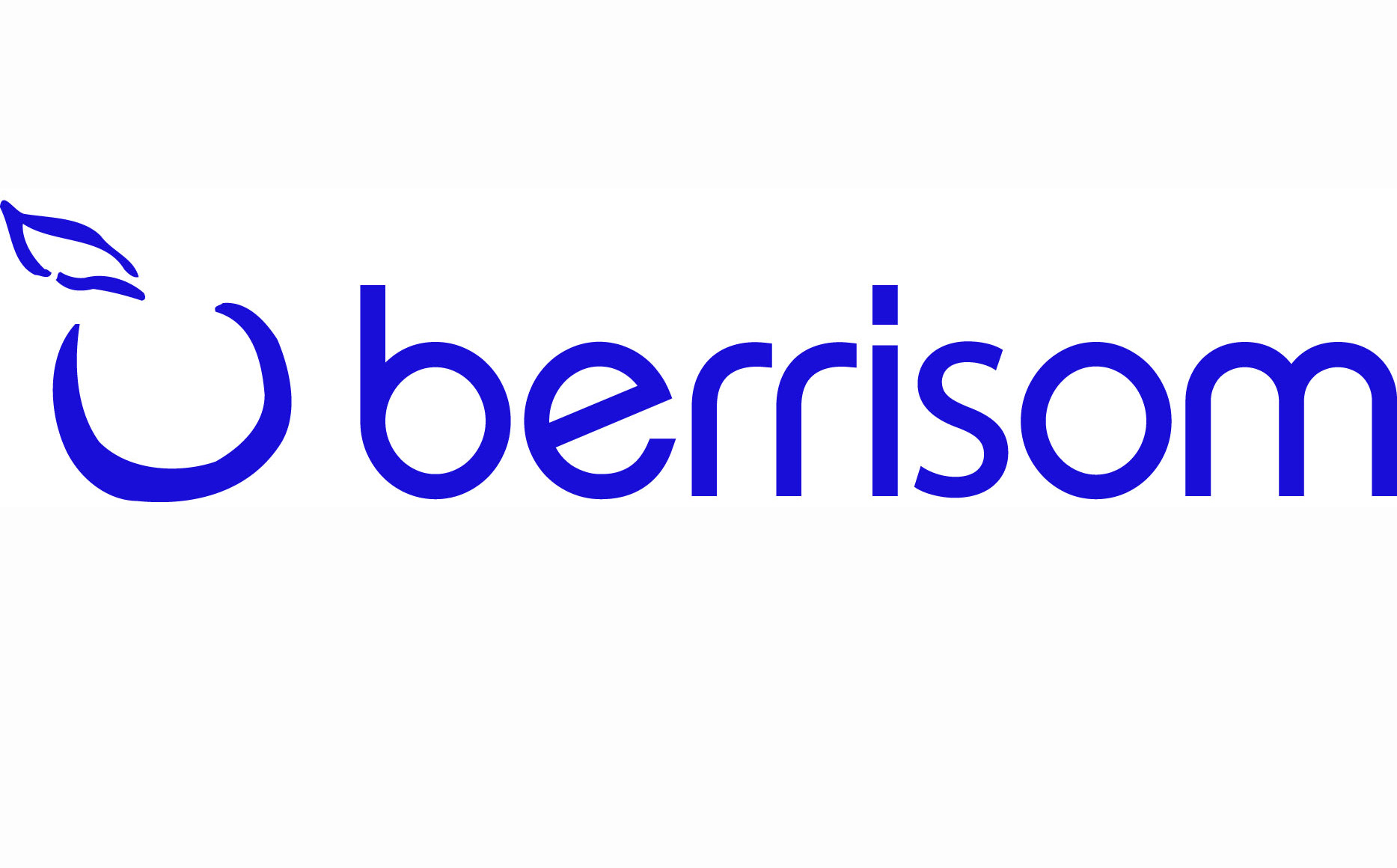 Berrisom logo