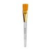 Thumb missha mask brush 500x500