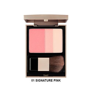 Medium signature blusher 01 signature pink master