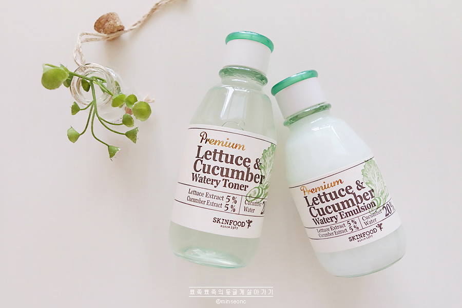 Premium lettuce cucumber watery toner 1