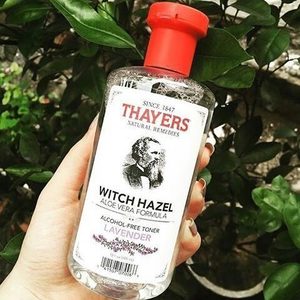  Thayers Witch Hazel Alcohol-Free Toner 