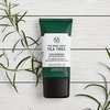 Thumb tea tree pore minimiser 4 640x640